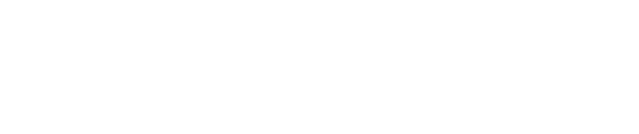 SimOn Logo